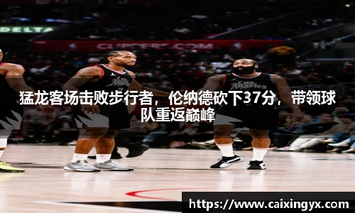 mk体育官网入口