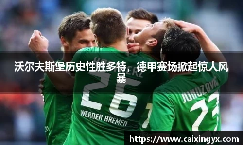 mk体育官网入口