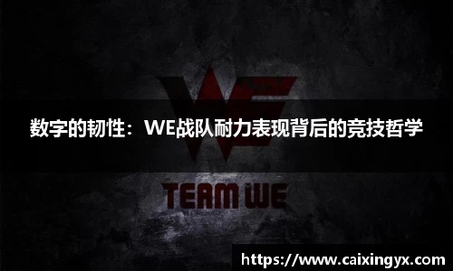 mk体育在线官网