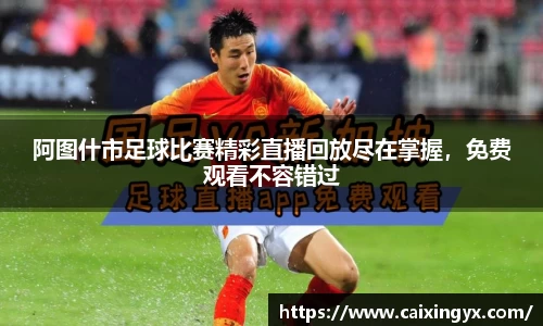 mk体育官网入口