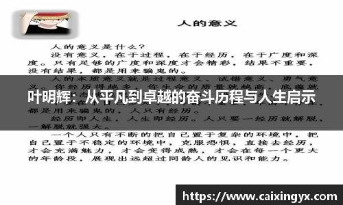 mk体育官网入口